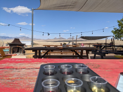 The Grape Escape: A Crystal Bowl Sound Bath and Wine Experience