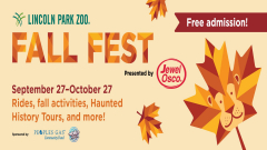 Fall Fest at Lincoln Park Zoo