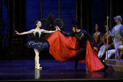 Swan Lake - Event performed by The State Ballet Theatre of Ukraine in Columbia, SC!