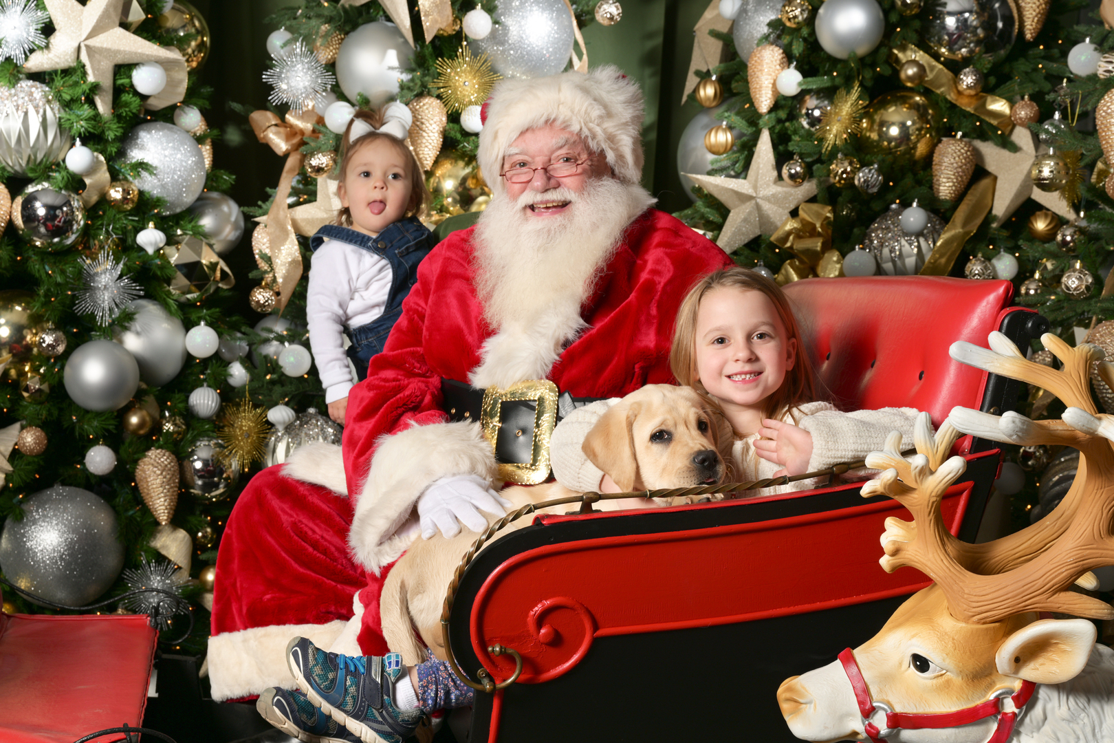 16th Annual Greenwich Reindeer Festival and Santa's Workshop presented by Jenny Allen at Compass, Greenwich, Connecticut, United States