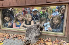 Scout Night @ Brandywine Zoo