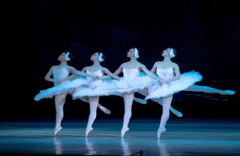 Swan Lake: event by The State Ballet of Ukraine in Johnson City, TN!