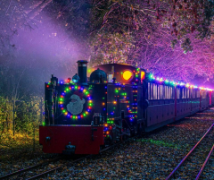 Noel Night Train