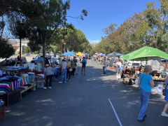 Petaluma Vintage Market - Halloween Edition!