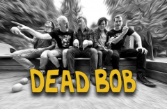 Dead Bob Concert
