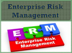 Enterprise Risk Management Course