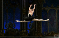 Swan Lake: The State Ballet of Ukraine and Live Orchestra in South Miami, FL!