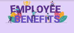 Human Resource Compensation and Benefits Strategy Course