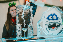 14th Annual Fire and Ice