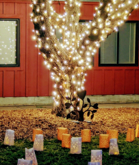 Tree of Lights Tree Lighting and Luminaria Installation