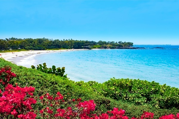 Endocrine Update 2025, Waikoloa Village, Hawaii, United States