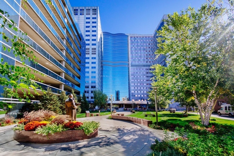 45th Annual Practice of Internal Medicine, Rochester, Minnesota, United States