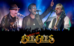 Almost the BEE GEES Live!