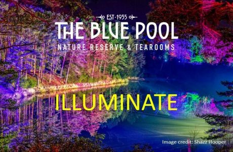 Illuminate at The Blue Pool 2025, Wareham, England, United Kingdom