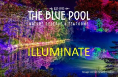 Illuminate at The Blue Pool 2025
