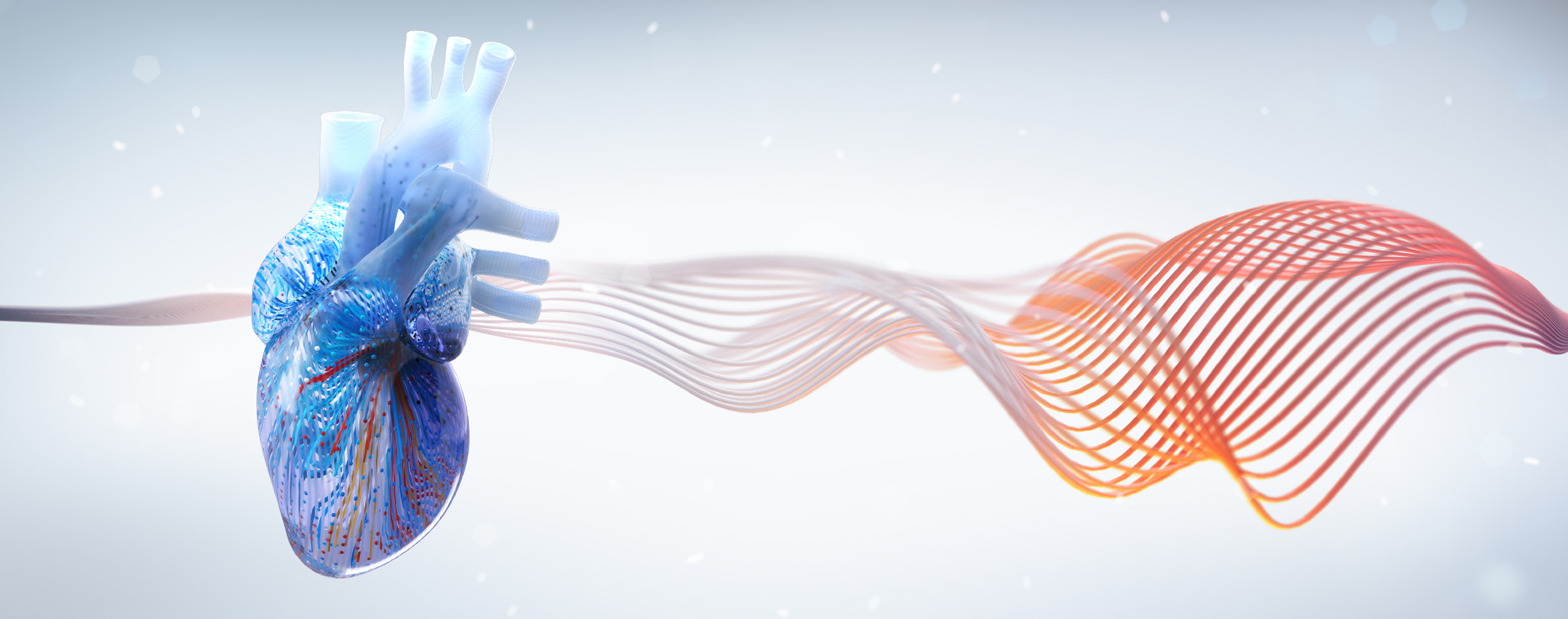 Mayo Clinic Echocardiography Comprehensive Review Course for Boards and Clinical Practice, Rochester, Minnesota, United States