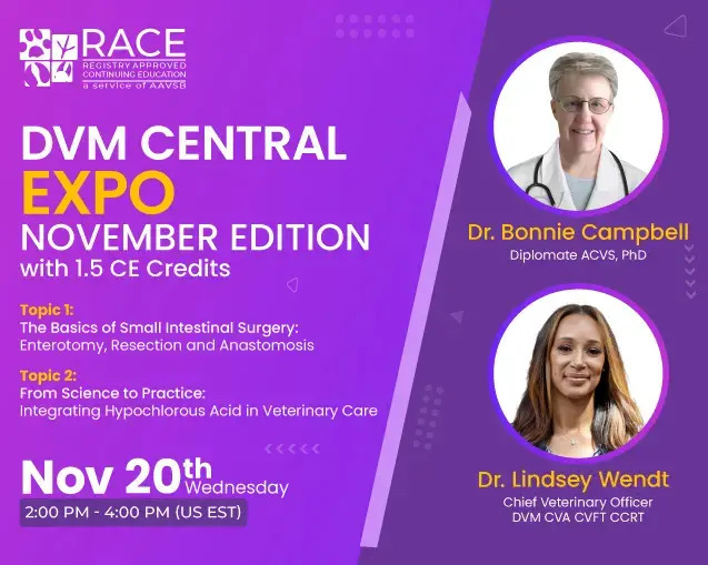 DVM Central Expo November Edition on Dog & Cat Intestinal Blockage Surgery, Online Event
