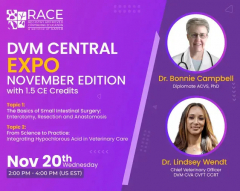 DVM Central Expo November Edition on Dog & Cat Intestinal Blockage Surgery