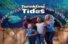 SEA LIFE New Jersey Twinkling Tides Holiday Event