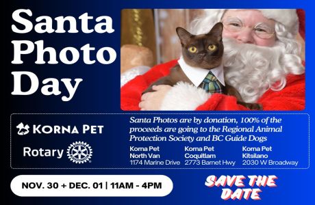 Pet photo with Santa at Korna Pet, North Vancouver, British Columbia, Canada
