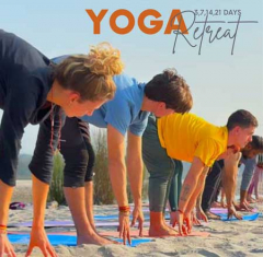 300-hour Yoga Teacher Training (YTT) in Rishikesh