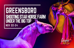 Cirque Ma'Ceo in Greensboro!