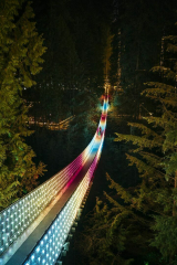 Canyon Lights at Capilano Suspension Bridge Park