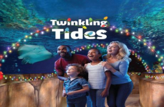 Twinkling Tides at SEA LIFE Grapevine