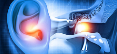International Conference on Otolaryngology and ENT Surgery