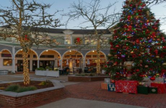 Annual Tree Lighting Ceremony at Mashpee Commons on Friday November 29