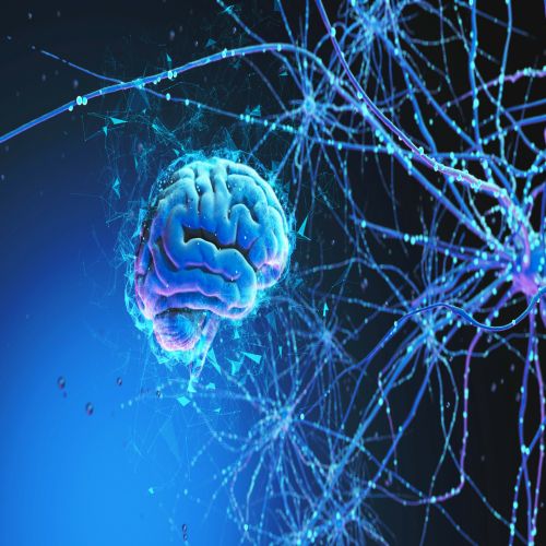 Mayo Clinic Stimulation Therapies for Epilepsy 2025, Rochester, Minnesota, United States