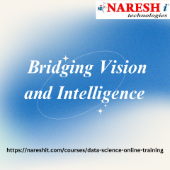 The Role of a Computer Vision Data Scientist