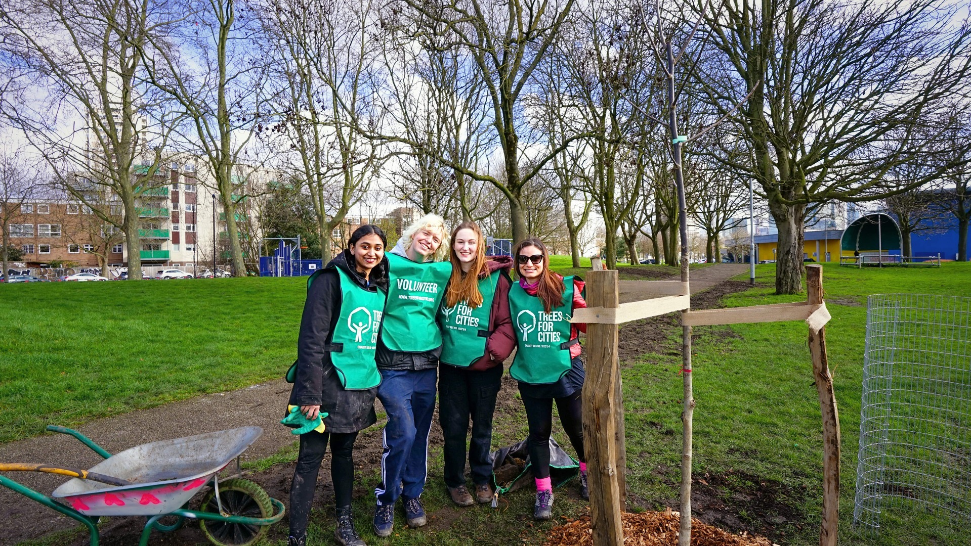 Tree Planting in Croydon, Croydon, England, United Kingdom