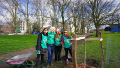 Tree Planting in Croydon