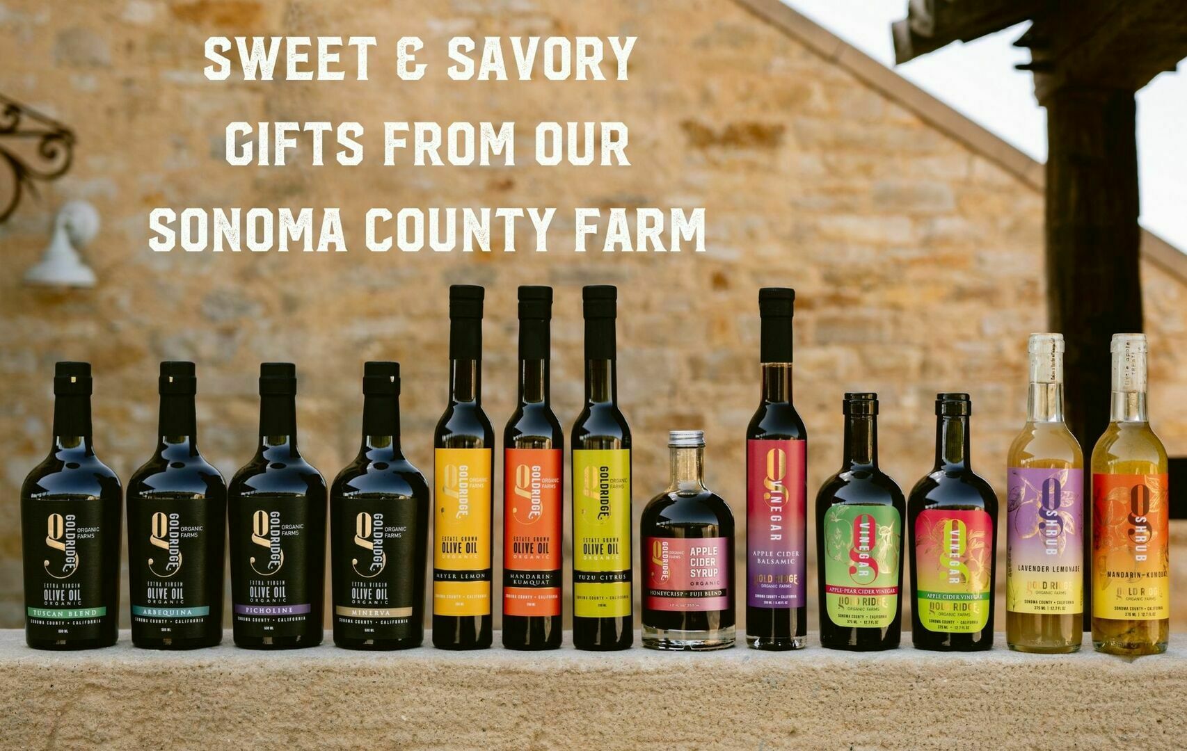 Small Business Saturday Open House, Sebastopol, California, United States
