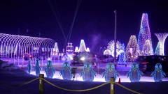 Sever's Holiday Lights