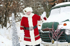 Santa at the Shoppes