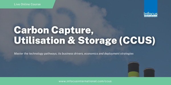 Carbon Capture, Utilisation and Storage (CCUS), Online Event