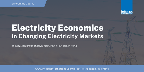 Electricity Economics in Changing Electricity Markets, Online Event