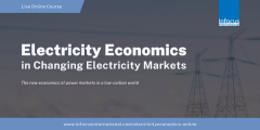 Electricity Economics in Changing Electricity Markets