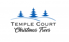 Temple Court Christmas Trees
