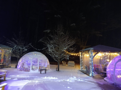 Vine to Wine Igloo and Gazebo Experience: Averill House Vineyard Unveils Food and Wine Holiday Pairing!