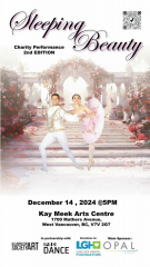 Sleeping Beauty - Ballet Charity Performance - 2nd edition