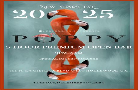 Poppy Nightclub NYE 2025, Los Angeles, California, United States