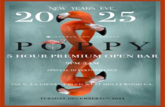Poppy Nightclub NYE 2025