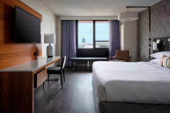 (TWS) The Wound Symposium - June 27-28, 2025, Marriott Hotel LaGuardia, New York, New York