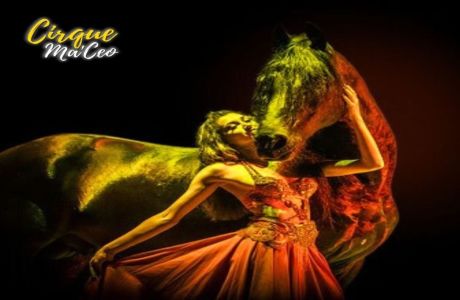 Cirque Ma'Ceo - Returns to Brooksville, Brooksville, Florida, United States