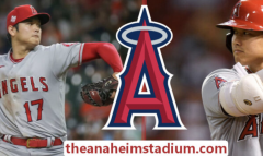 Los Angeles Angels Baseball