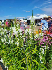 The Norfolk Garden Show 2025