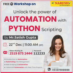 Unlocking the power of Automation with Python Scripting